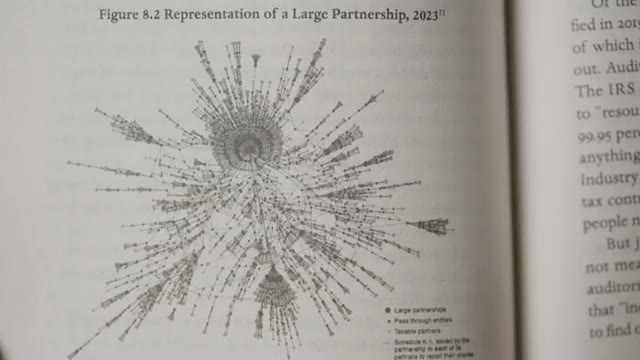 A complex diagram shows assets connected to owners through a maze of shell companies and trusts.