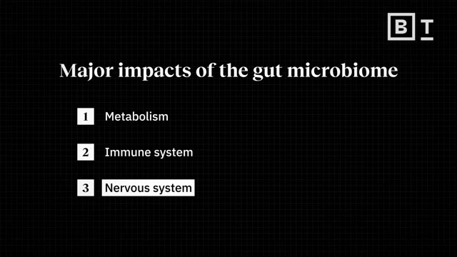An animated diagram depicts the vagus nerve as a 'fast internet cable' connecting the gut to the brain.